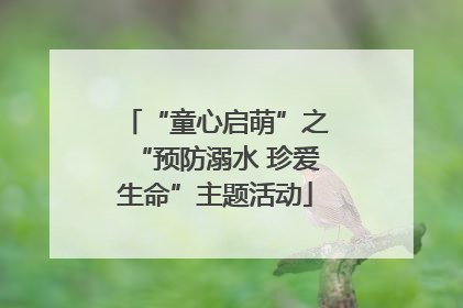 “童心启萌”之“预防溺水 珍爱生命”主题活动